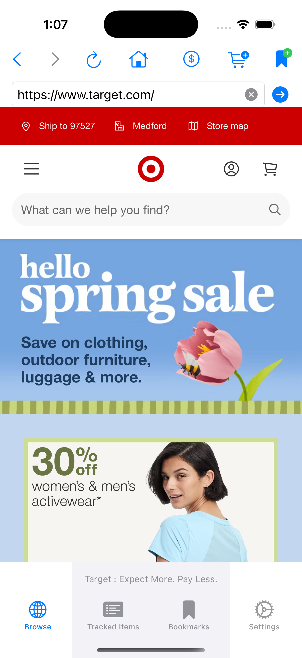 Browser View Screenshot